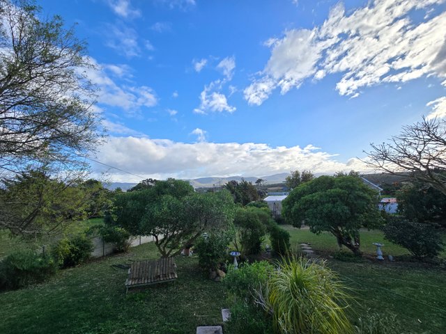 20250717_095533.jpg