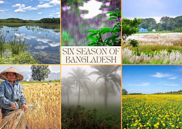Six Season of Bangladesh @zisha-hafiz.png