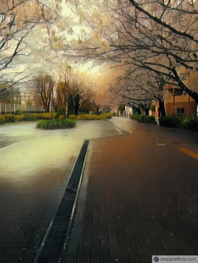 IMG-PHOTO-ART--1876866330.jpg