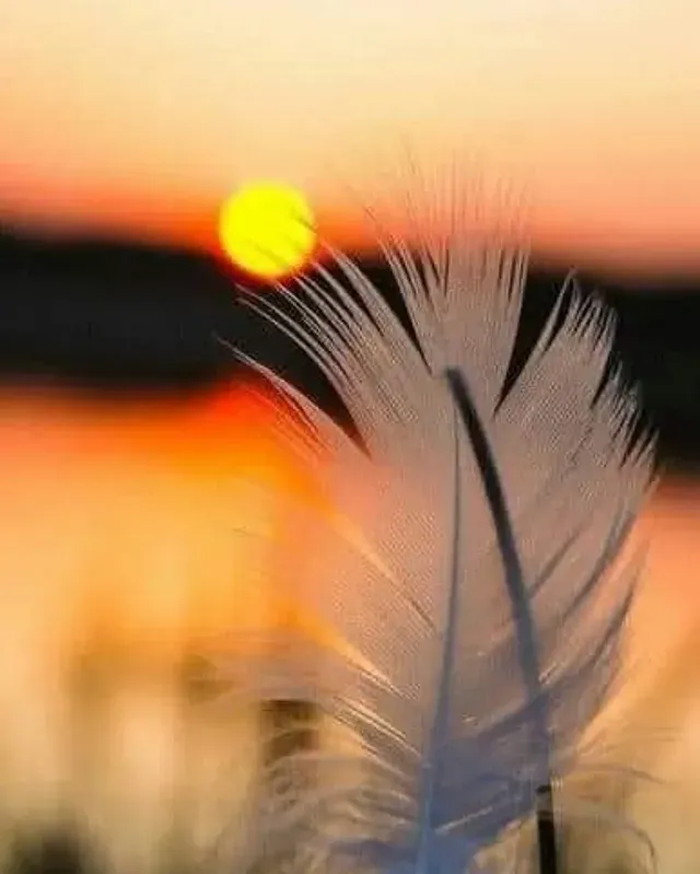 50b606929e8648d78527fdba19dc6ad0.webp