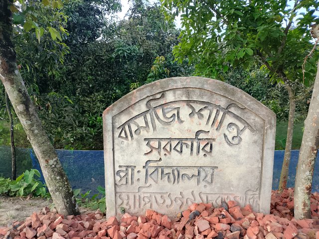 1000044345.jpg