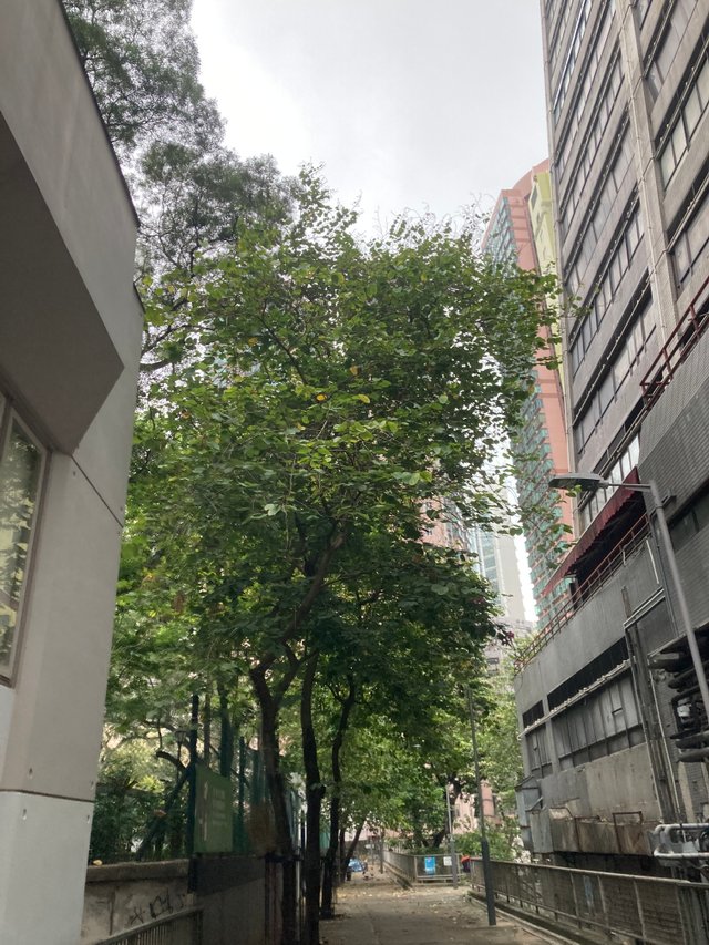 IMG_9099.jpeg
