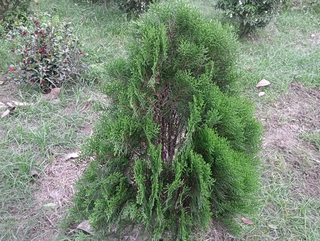 IMG20250519181557.jpg