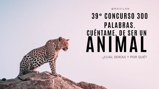 39° CONCURSO 300 PALABRAS..jpg