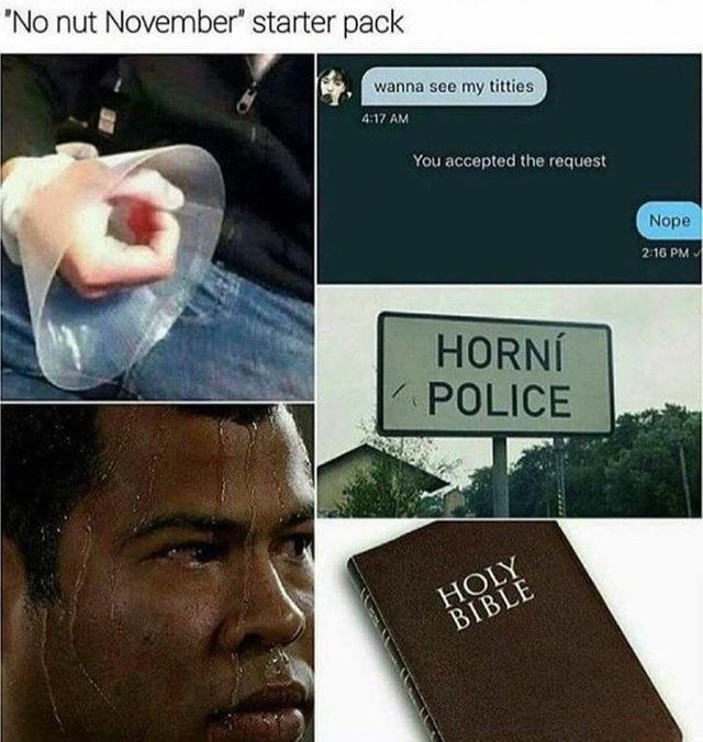 nonutnovember.jpg