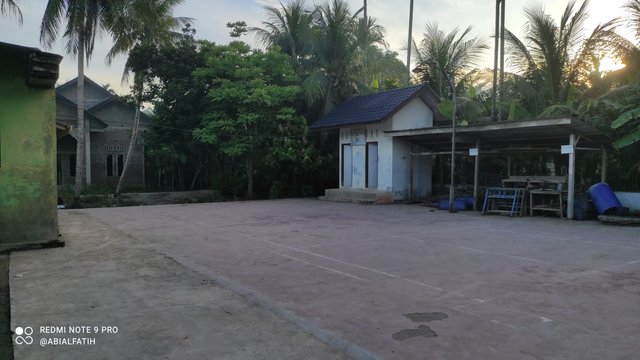 IMG_20250829_070454.jpg