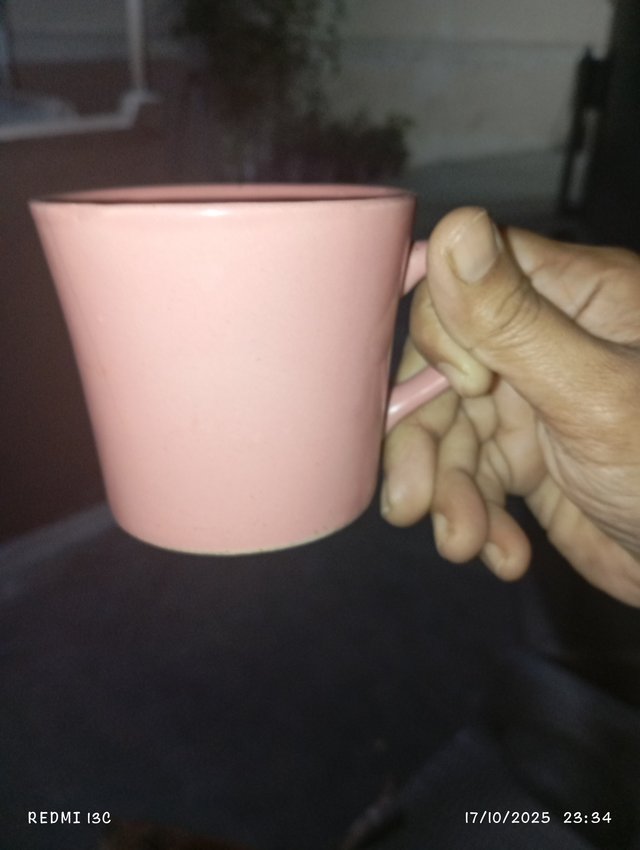 1000066805.jpg