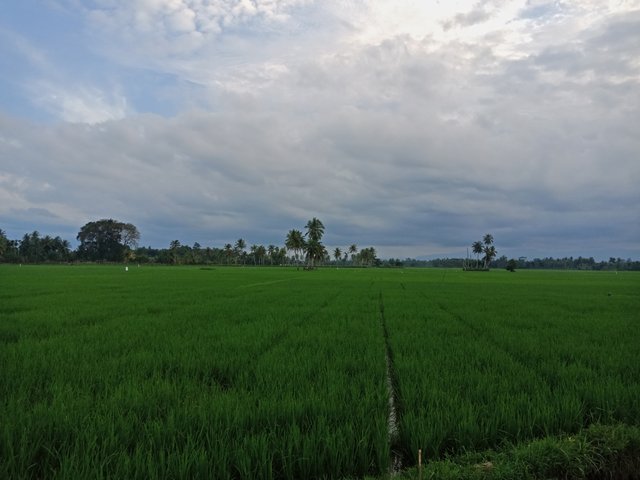 IMG20221222173530.jpg