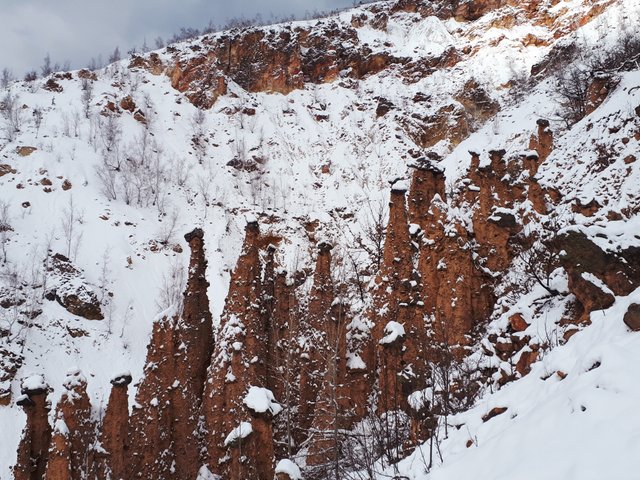 20190213_164256.jpg