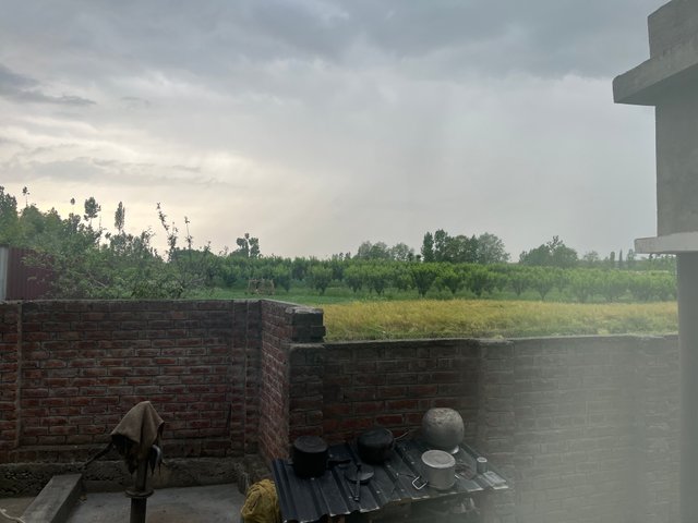 IMG_3475.jpeg