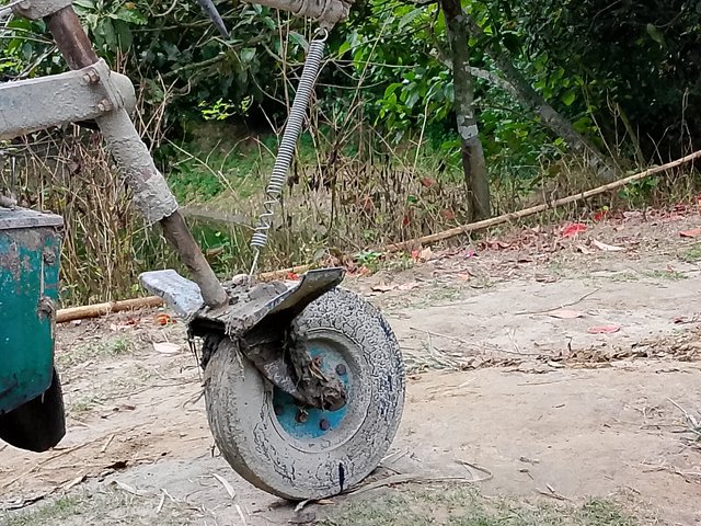 1000046007.jpg