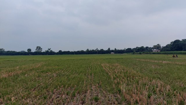 1000585240.jpg