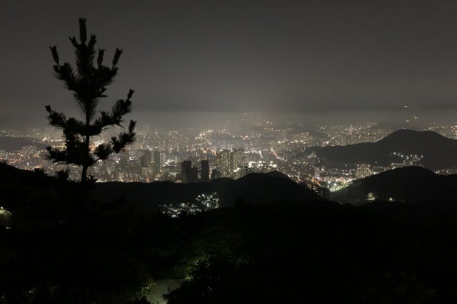 釜山夜景.jpeg