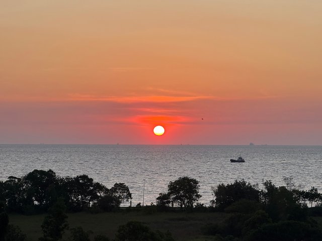 IMG_0962.jpeg