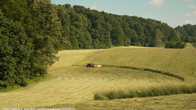 MowingTheField-001-0902718.jpg