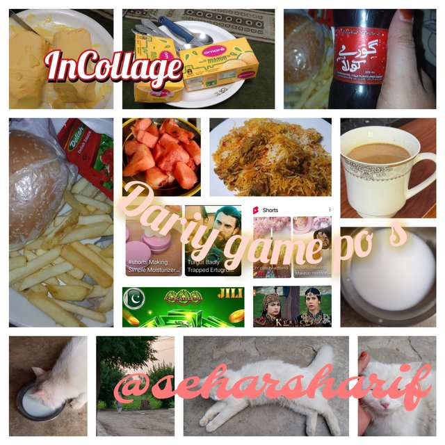 InCollage_20250518_222157859.jpg