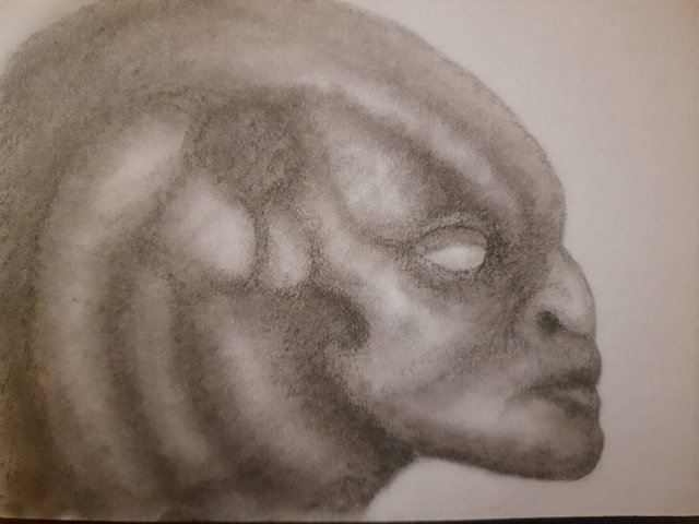 20250523_110105.jpg