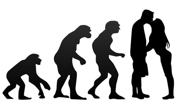 800px-Human_evolution-.svg.jpg