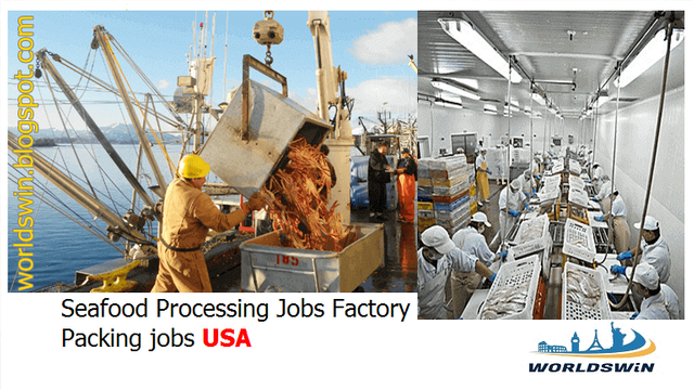 Jobs in Fresh Frozen Seafood Processing Plants in Alaska.PNG