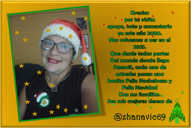 firma navidad con foto zhanavic.png