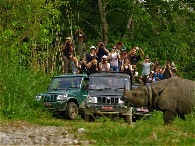 jeep-safari-in-chitwan-national-park.jpg