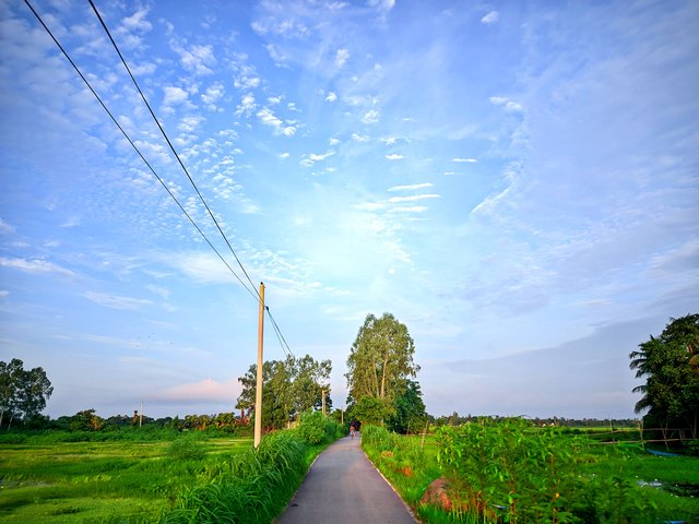 IMG_20250819_181054.jpg