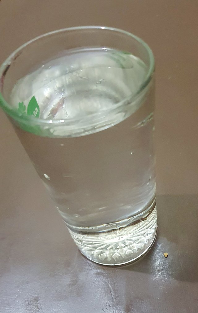 20250312_124742.jpg