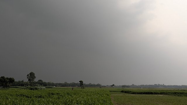 1000044764.jpg