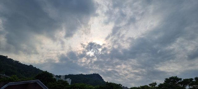 1000030081.jpg