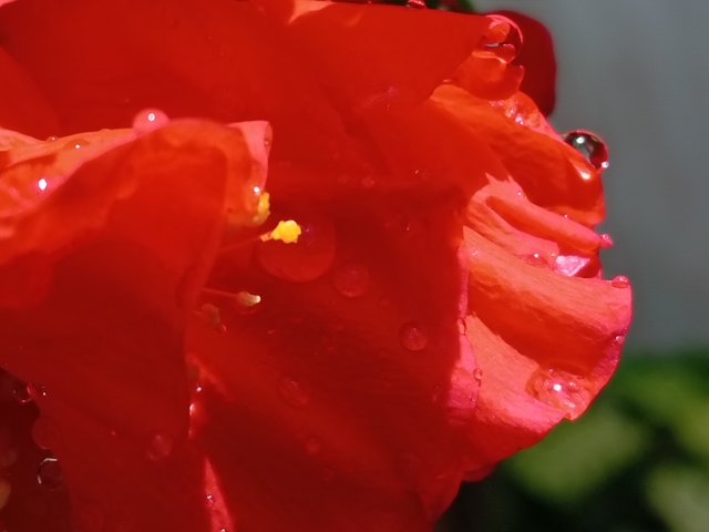 IMG_20250729_103617.jpg