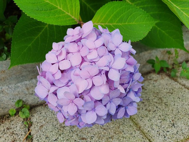 IMAGE 2021-07-10 03:19:10.jpg