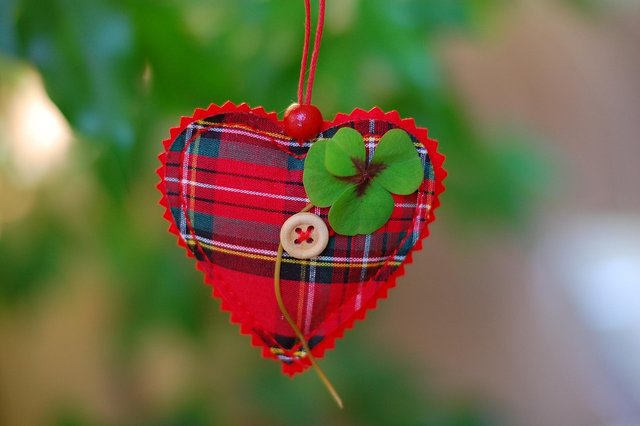 clover-3581638_1280.jpg