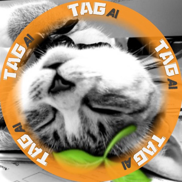 sML2JBPsdAyMUJWzxvYnDYtKNvrTaMv1eeo9E5Q7MzSPZGw37dovHUmNXzRyw5xr.jpg
