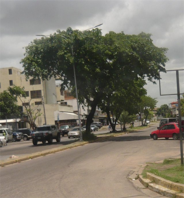 P1260276.JPG