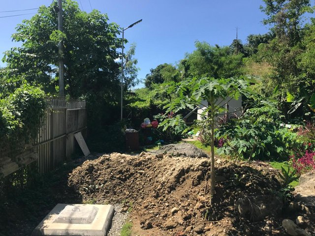 frontyard.jpg