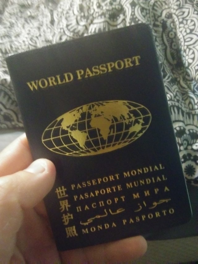 world passport2.jpg