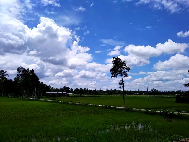 IMG_20221019_105500.jpg
