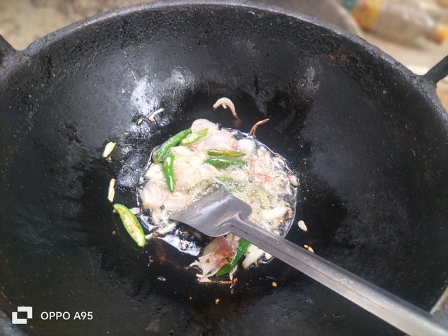 IMG20250501111412.jpg