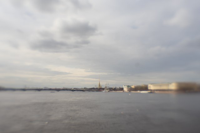 DSC05019.jpg