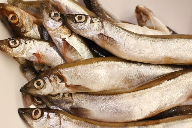 fish-8210152_1280.jpg