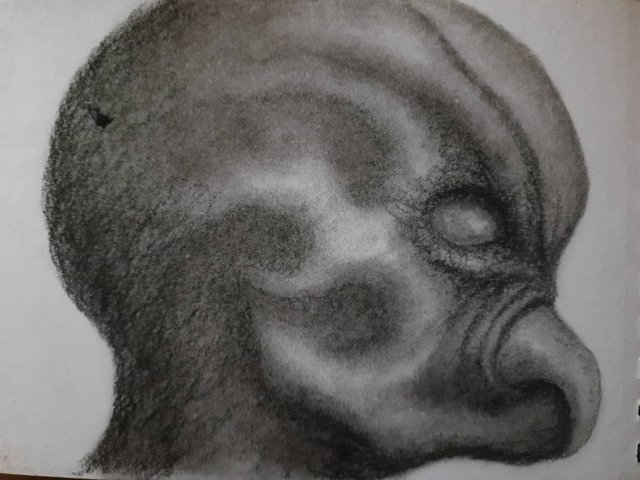 20250426_111956.jpg