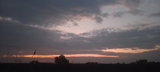 IMG_20250714_193914_968.jpg