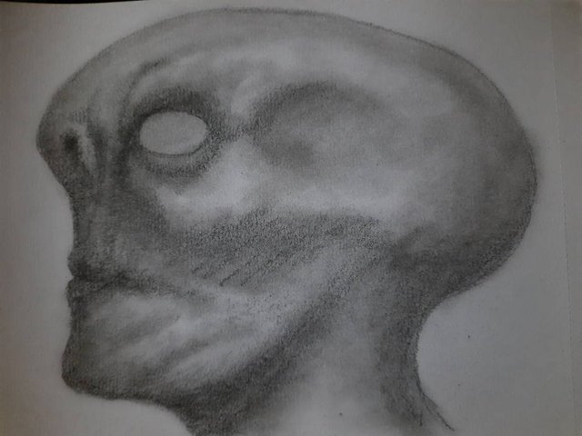 20251026_093557.jpg