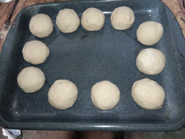 1000060695.jpg
