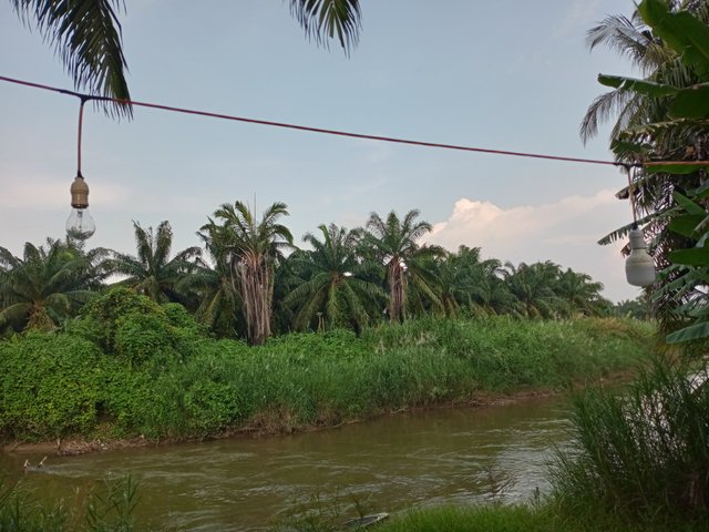 IMG20250627174641.jpg