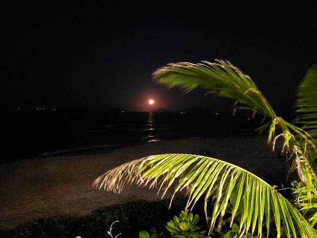 20211120_180652.jpg
