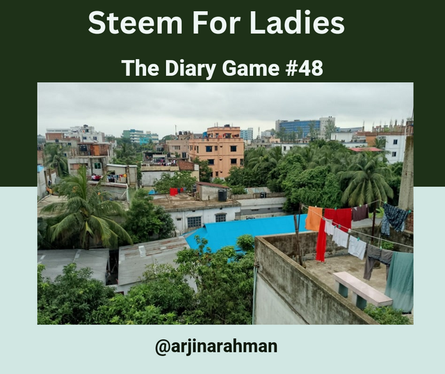The Diary Game #48_20240715_114413_0000.png