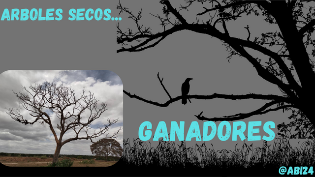 arboles secos..png