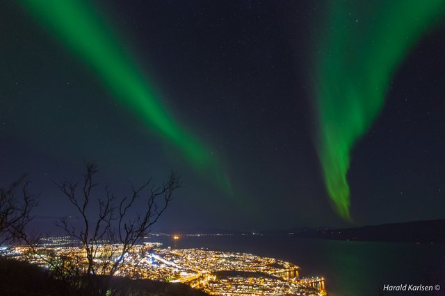 Nordlys Narvik-4.jpg
