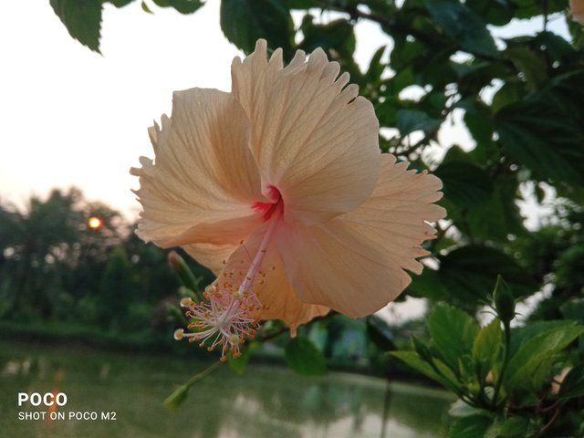 IMG_20250605_180207.